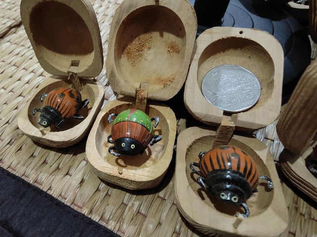 เต่าทองในกล่องไม้สุ่ม10ชิ้น🐞🐞🐞🐞🐞 รูปที่ 8