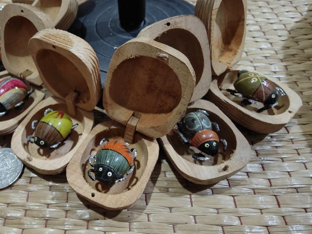 เต่าทองในกล่องไม้สุ่ม10ชิ้น🐞🐞🐞🐞🐞 รูปที่ 3
