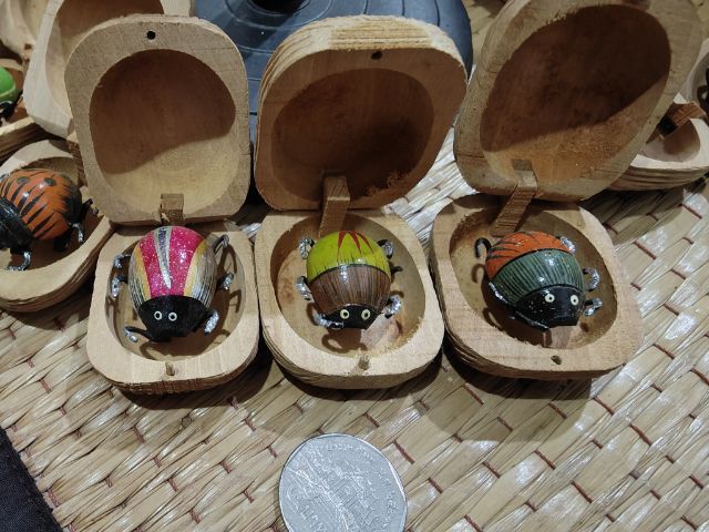 เต่าทองในกล่องไม้สุ่ม10ชิ้น🐞🐞🐞🐞🐞 รูปที่ 9