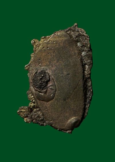 พระชินราชตัดช่อ รูปที่ 3