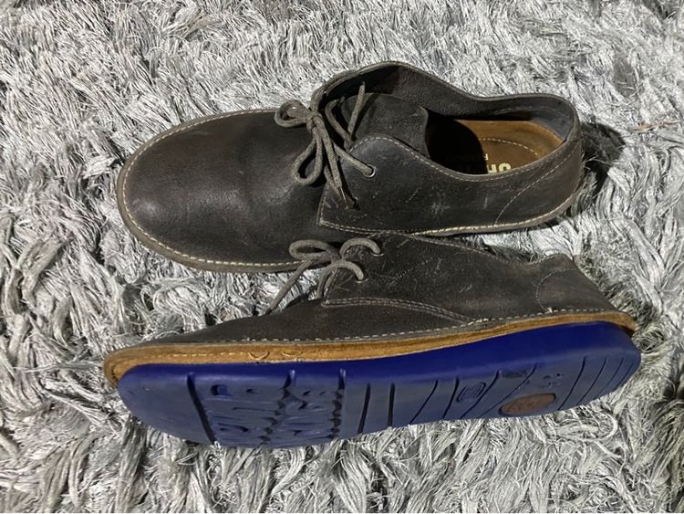 Camper Oruga   รูปที่ 3