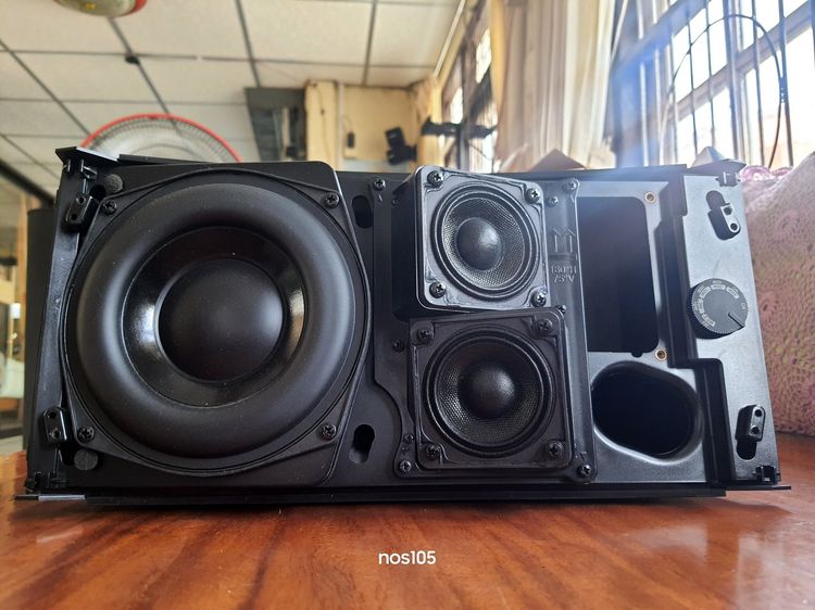 Bose DS100SE ลำโพงโบสที่มีครบทุกย่านเสียง SPR รูปที่ 8