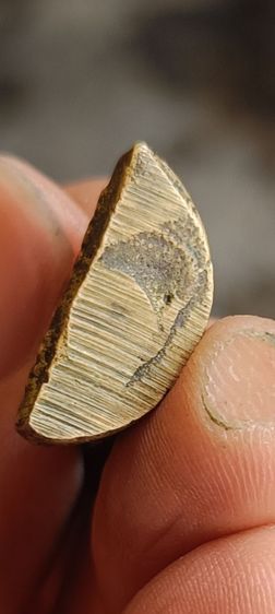 รูปหล่อ กลวงพ่อเดิม วัดชอนเดื่อ ปี 2493 รูปที่ 5