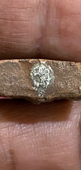 ลพ.ผาด วัดดงตาล ขี่สิงห์ รูปที่ 4