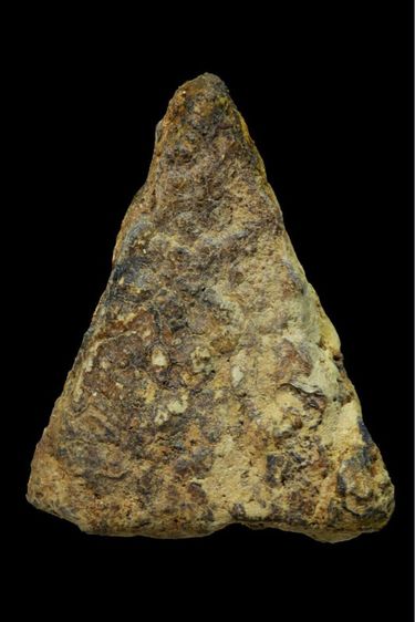 พระว่านหน้าทอง รูปที่ 2