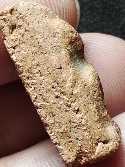 นางพญาเนื้อดินพิษณุโลกครับ รูปที่ 13