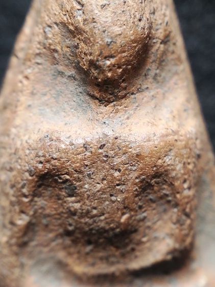 นางพญาเนื้อดินพิษณุโลกครับ รูปที่ 6