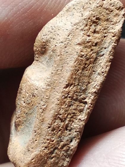 นางพญาเนื้อดินพิษณุโลกครับ รูปที่ 14