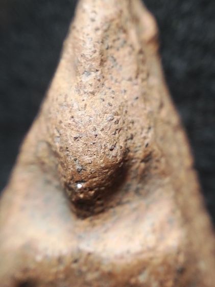 นางพญาเนื้อดินพิษณุโลกครับ รูปที่ 9