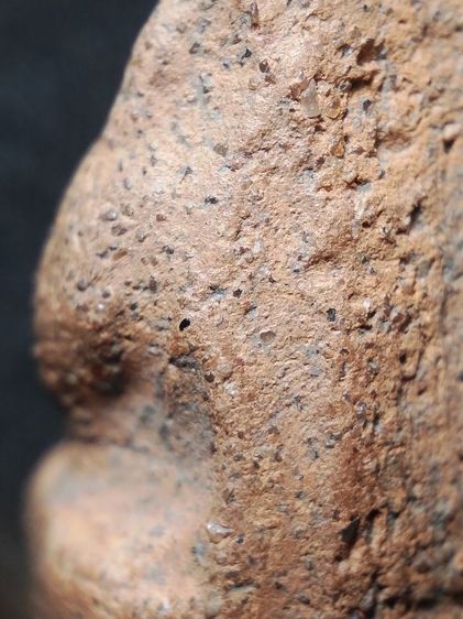 นางพญาเนื้อดินพิษณุโลกครับ รูปที่ 11