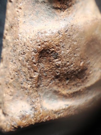 นางพญาเนื้อดินพิษณุโลกครับ รูปที่ 7