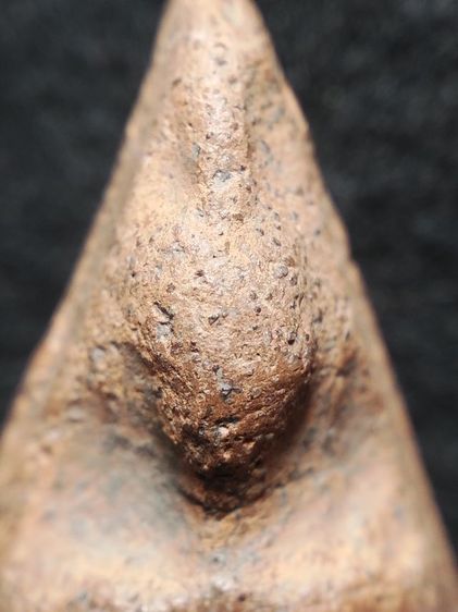 นางพญาเนื้อดินพิษณุโลกครับ รูปที่ 5