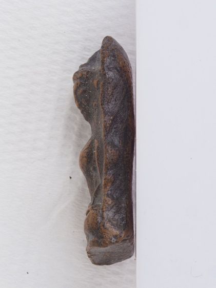 พระผงสุพรรณ 29116810 รูปที่ 3