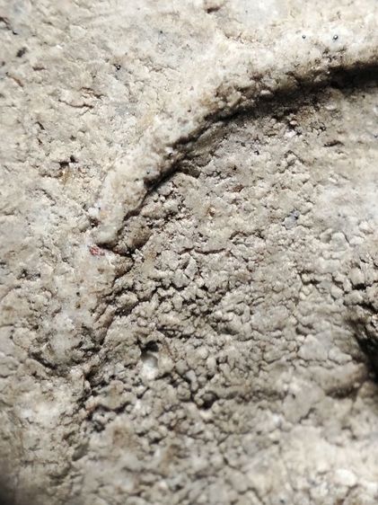 พระสมเด็จสวยๆครับ รูปที่ 6