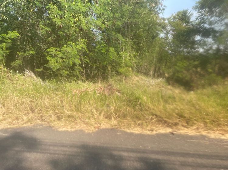 ไม่ใช่ ที่ดิน อยู่ประจวบคีรีขันธ์ 1 ไร่ รูปที่ 2