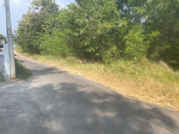 ไม่ใช่ ที่ดิน อยู่ประจวบคีรีขันธ์ 1 ไร่ รูปที่ 3