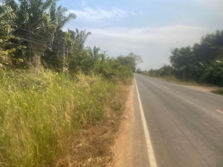 ไม่ใช่ สวนปาล์ม อยู่ประจวบคีรีขันธ์ 21 ไร่