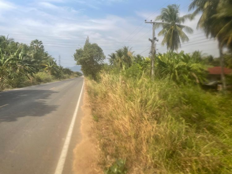 ไม่ใช่ สวนปาล์ม อยู่ประจวบคีรีขันธ์ 21 ไร่ รูปที่ 2