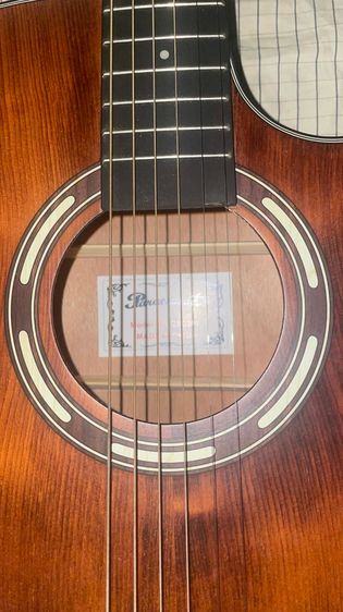 อื่นๆ กีต้าร์โปร่ง Paramount QAG501