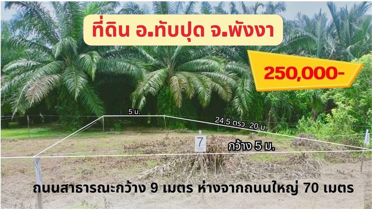  ที่ดินสวยเปล่า