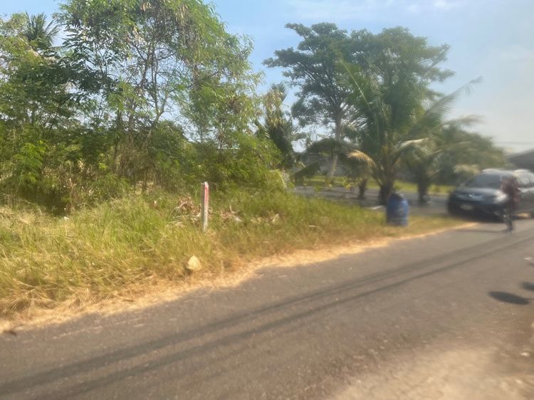 ไม่ใช่ ที่ดิน อยู่ประจวบคีรีขันธ์ 1 ไร่ รูปที่ 4