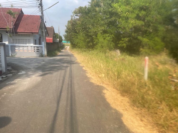 ที่ดิน อยู่ประจวบคีรีขันธ์ 1 ไร่