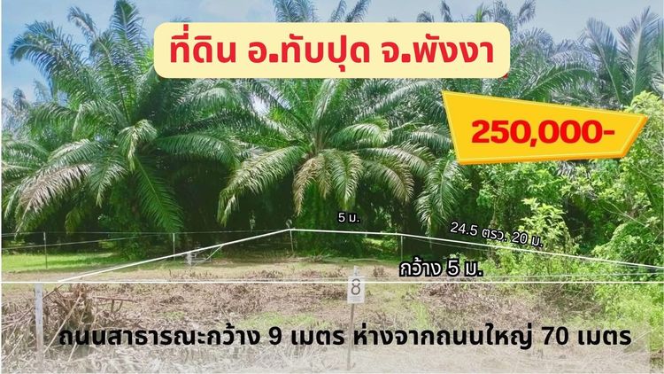 ที่ดินสวยเปล่า