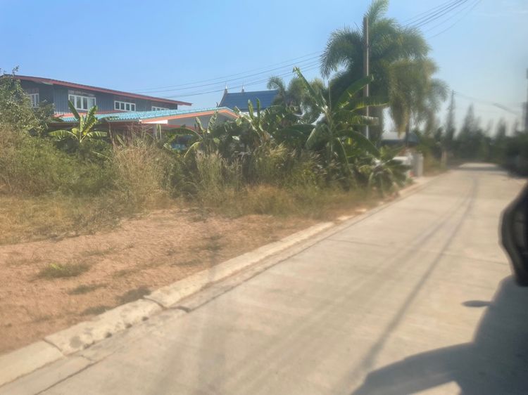 ไม่ใช่ ที่ดิน อยู่ชะอำ เพชรบุรี 128 ตารางวา รูปที่ 2