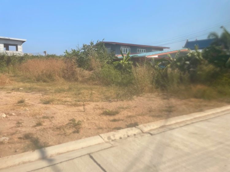 ไม่ใช่ ที่ดิน อยู่ชะอำ เพชรบุรี 128 ตารางวา รูปที่ 4