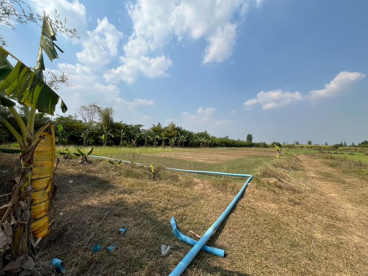ขายที่ดิน 7 ไร่ ทุ่งบัว กำแพงแสน ติดถนนลาดยางแปลงสวยราคาถูกสุดในตลาด แถมบ้านฟรี รูปที่ 2