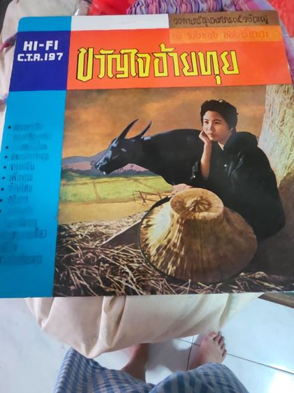 แผ่นเสียง