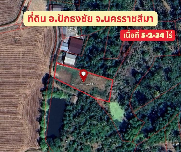 ที่ดินหลุดขายฝาก