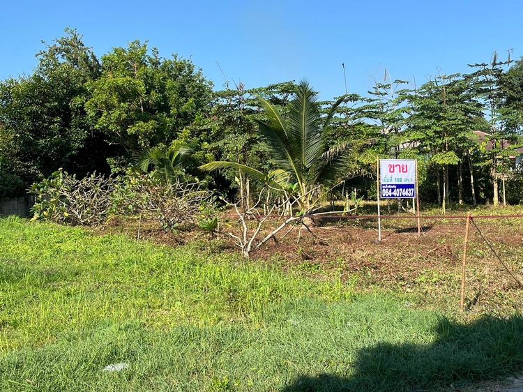 ขายที่ดินเปล่า อำเภอเมือง จังหวัดลำปาง 186 ตารางวา รูปที่ 2