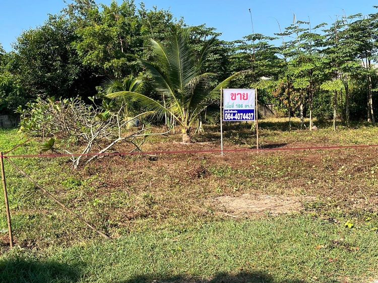 ขายที่ดินเปล่า อำเภอเมือง จังหวัดลำปาง 186 ตารางวา รูปที่ 3