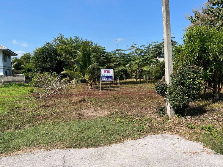 ขายที่ดินเปล่า อำเภอเมือง จังหวัดลำปาง 186 ตารางวา