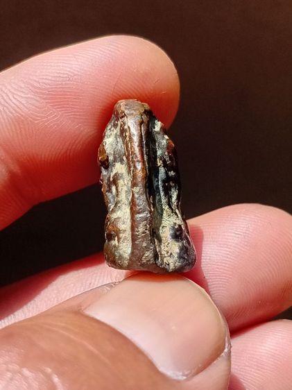 พระปิดตาหลวงปู่พัก วัดบึงทองหลาง รูปที่ 8