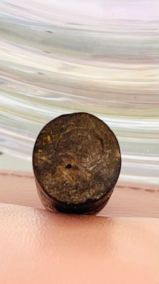 ลิงจับหลัก รูปที่ 4