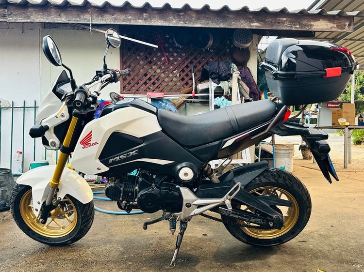 รถมอเตอร์ไซค์ MSX 125cc รูปที่ 3