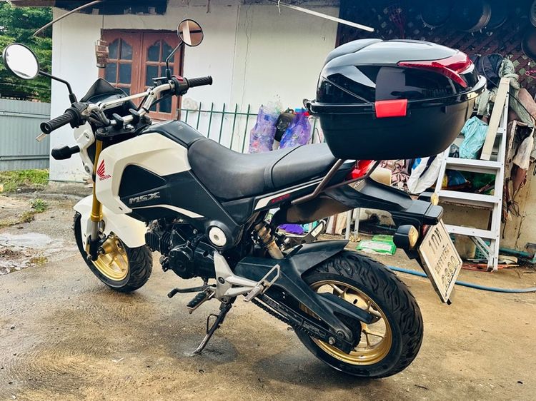 รถมอเตอร์ไซค์ MSX 125cc รูปที่ 2