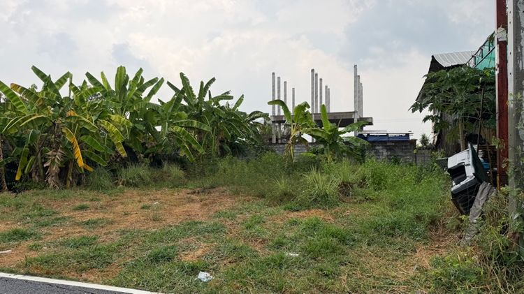 ขายที่ดินนนทบุรี ซอยวัดเสนีย์วง รูปที่ 3