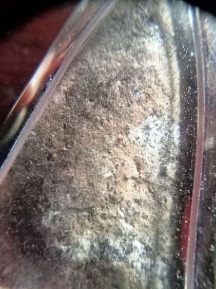 ปู่ทวดเนื้อว่าน รูปที่ 6