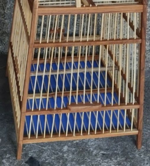 กรงนก  หัวจุก