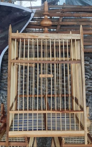 กรงนก  หัวจุก รูปที่ 3