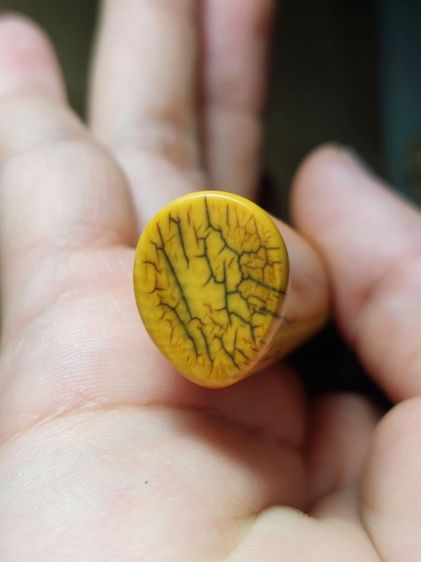 เครื่องรางมีดหมอนาคเกี้ยวหลวงพ่อเดิมใบ 5 นิ้วยาวรวม 9 นิ้วเก่า รูปที่ 3