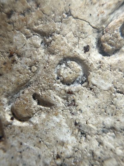 พระสมเด็จวัดระฆัง พิมพ์ใหญ่ พ.ศ.2404 รูปที่ 10