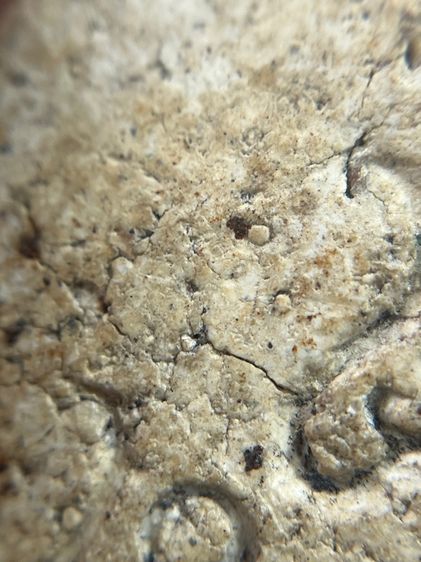 พระสมเด็จวัดระฆัง พิมพ์ใหญ่ พ.ศ.2404 รูปที่ 11