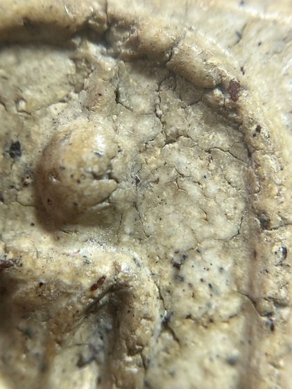 พระสมเด็จวัดระฆัง พิมพ์ใหญ่ พ.ศ.2404 รูปที่ 5