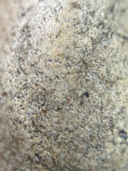 พระกรุวัดพลับ พิมพ์ตุ๊กตาใหญ่ รูปที่ 14