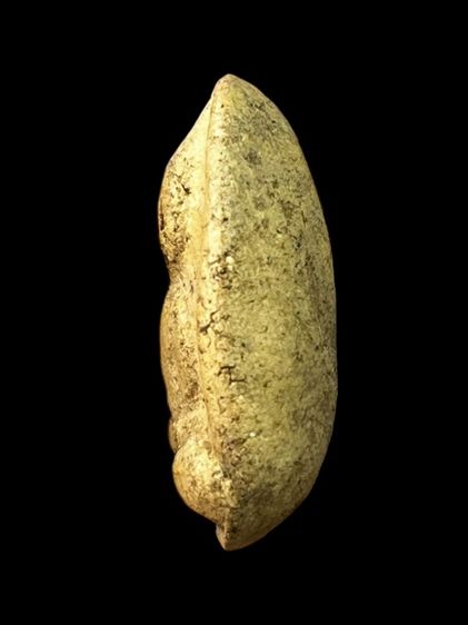 พระกรุวัดพลับ พิมพ์ตุ๊กตาใหญ่ รูปที่ 4