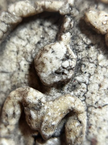 พระสมเด็จวัดระฆังพิมพ์ฐานแซมองค์นี้ รูปที่ 6